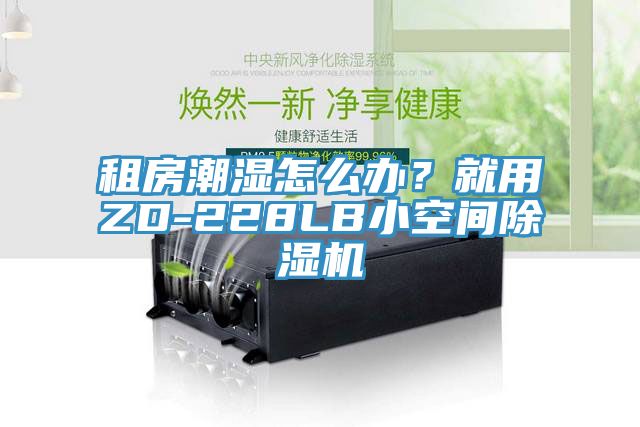租房潮濕怎么辦？就用ZD-228LB小空間除濕機