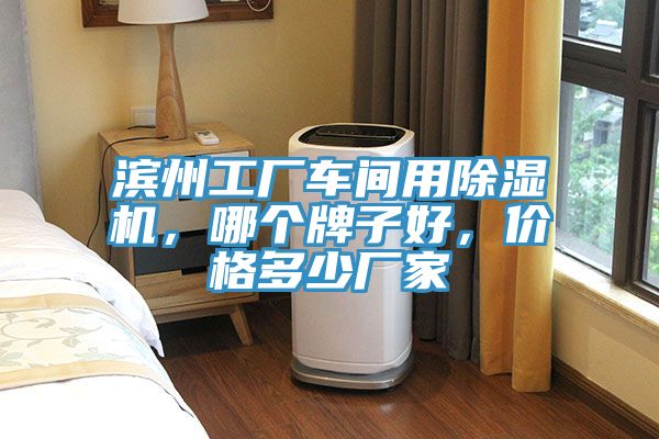 濱州工廠車間用除濕機,哪個牌子好,價格多少廠家