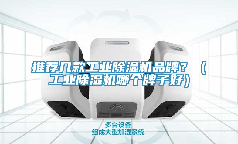 推薦幾款工業(yè)除濕機品牌?(工業(yè)除濕機哪個牌子好)