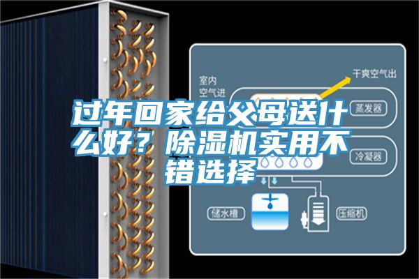 過年回家給父母送什么好？除濕機實用不錯選擇