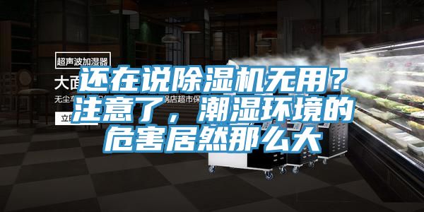 還在說除濕機無用？注意了，潮濕環境的危害居然那么大