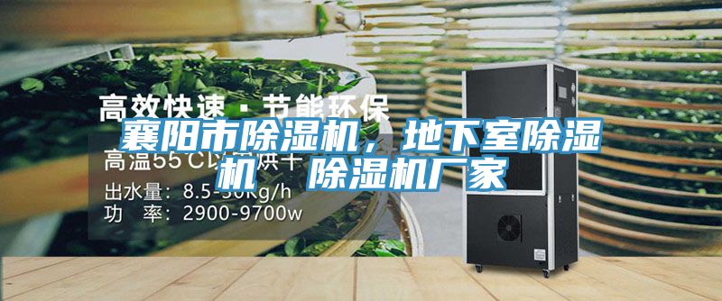 襄陽市除濕機，地下室除濕機  除濕機廠家
