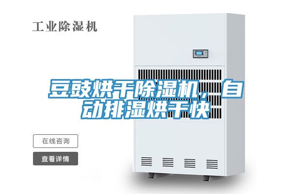 豆豉烘干除濕機(jī)，自動(dòng)排濕烘干快