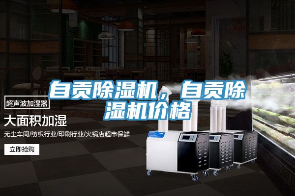 自貢除濕機,自貢除濕機價格