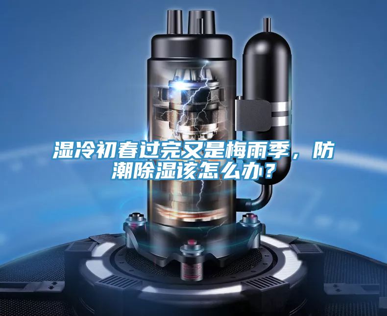 濕冷初春過完又是梅雨季，防潮除濕該怎么辦？