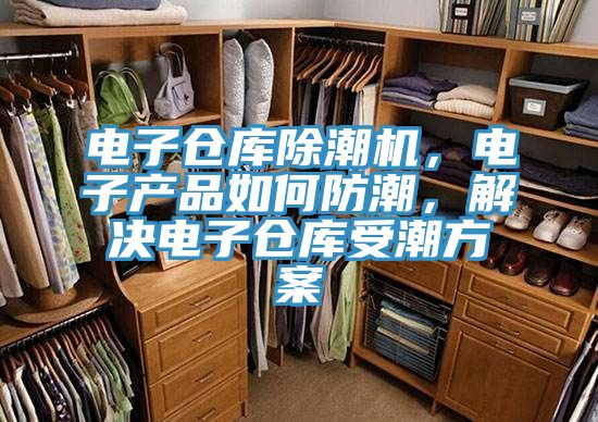 電子倉庫除潮機，電子產(chǎn)品如何防潮，解決電子倉庫受潮方案