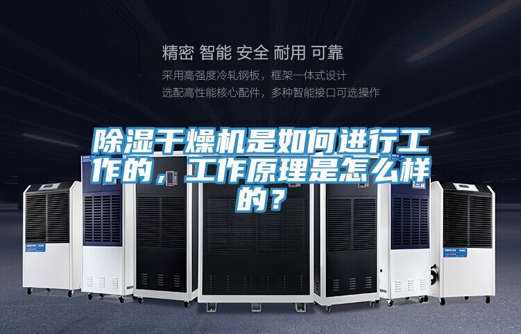 除濕干燥機是如何進行工作的，工作原理是怎么樣的？