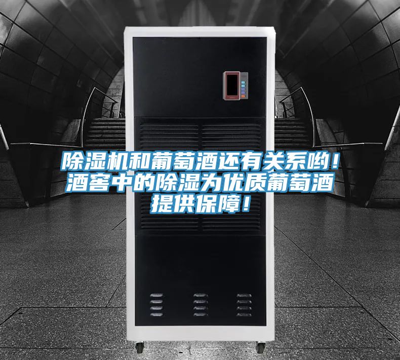 除濕機和葡萄酒還有關系喲!酒窖中的除濕為優質葡萄酒提供保障!