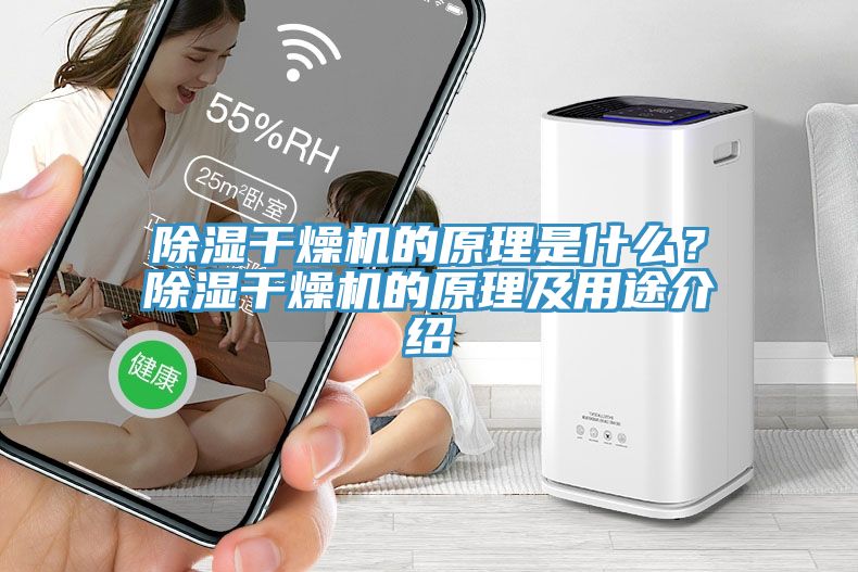 除濕干燥機的原理是什么？除濕干燥機的原理及用途介紹