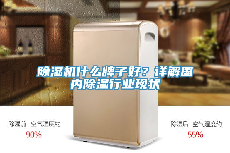 除濕機(jī)什么牌子好?詳解國內(nèi)除濕行業(yè)現(xiàn)狀