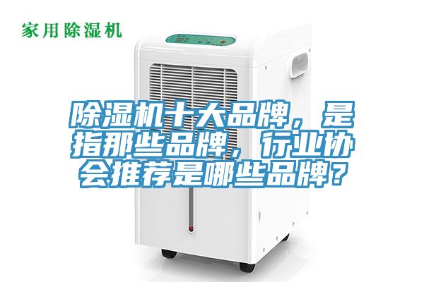 除濕機(jī)十大品牌,是指那些品牌,行業(yè)協(xié)會(huì)推薦是哪些品牌?