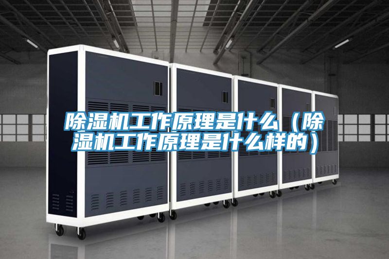 除濕機(jī)工作原理是什么(除濕機(jī)工作原理是什么樣的)