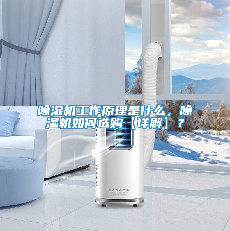 除濕機(jī)工作原理是什么,除濕機(jī)如何選購【詳解】?