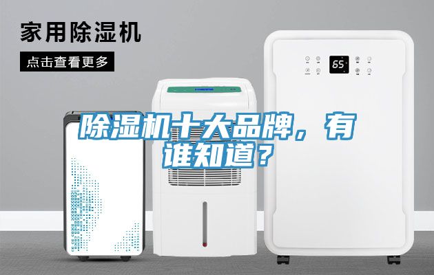 除濕機(jī)十大品牌,有誰知道?