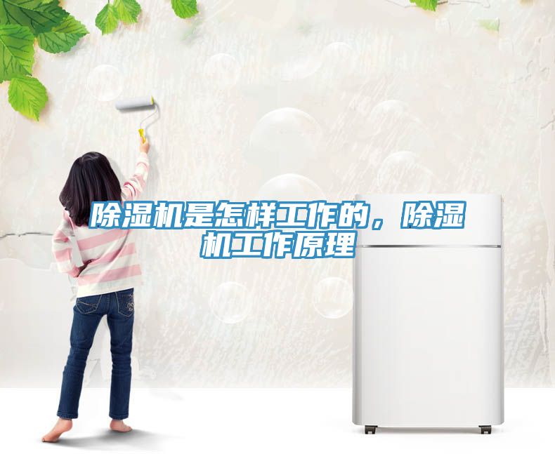除濕機是怎樣工作的,除濕機工作原理