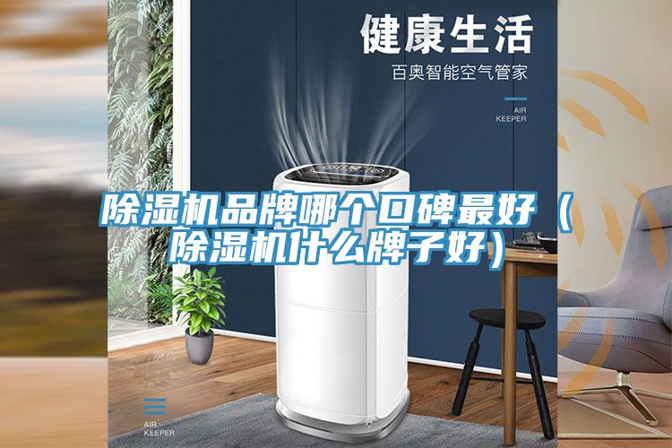 除濕機(jī)品牌哪個口碑最好（除濕機(jī)什么牌子好）