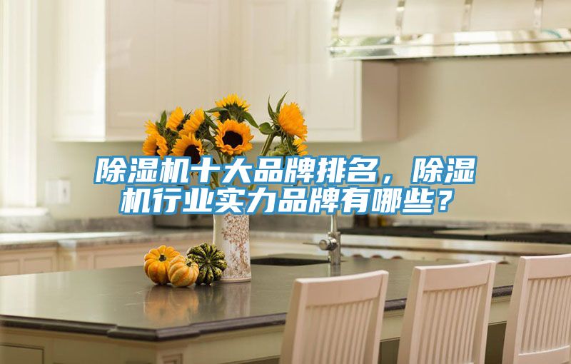 除濕機十大品牌排名,除濕機行業實力品牌有哪些?