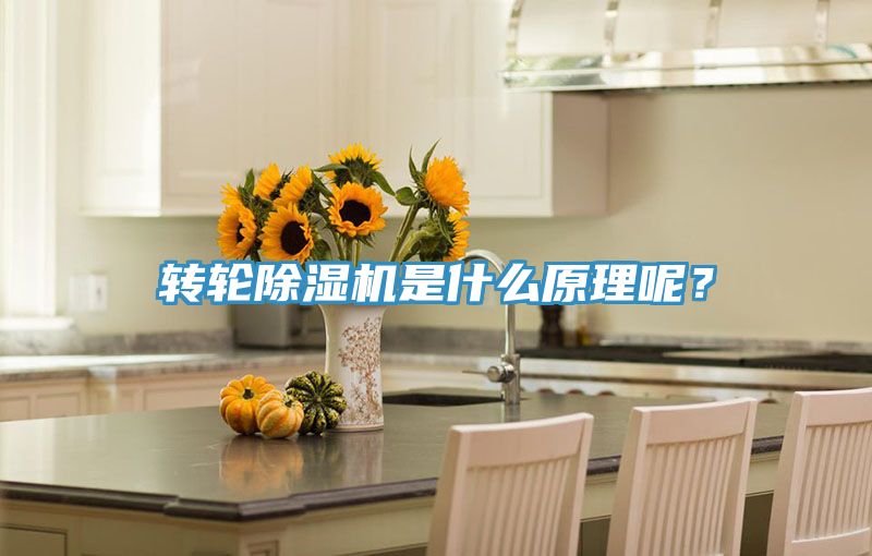 轉輪除濕機是什么原理呢?
