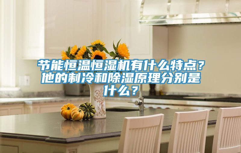 節(jié)能恒溫恒濕機(jī)有什么特點(diǎn)？他的制冷和除濕原理分別是什么？