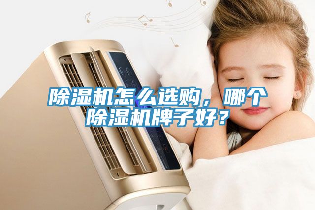 除濕機怎么選購，哪個除濕機牌子好？