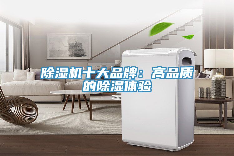 除濕機(jī)十大品牌:高品質(zhì)的除濕體驗(yàn)