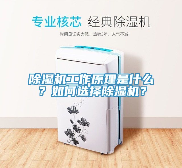 除濕機(jī)工作原理是什么?如何選擇除濕機(jī)?