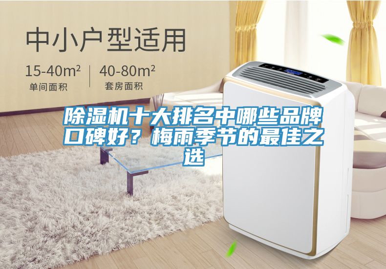 除濕機(jī)十大排名中哪些品牌口碑好?梅雨季節(jié)的最佳之選