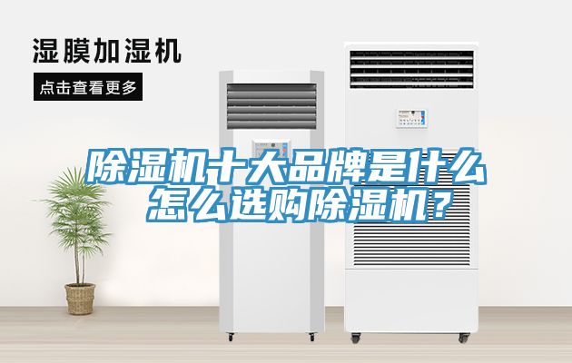除濕機(jī)十大品牌是什么 怎么選購除濕機(jī)?