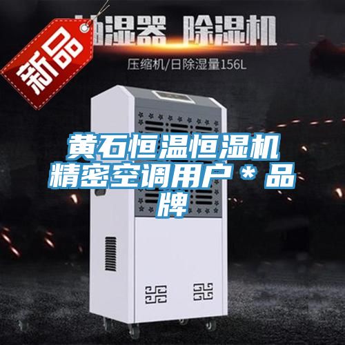 黃石恒溫恒濕機精密空調用戶*品牌