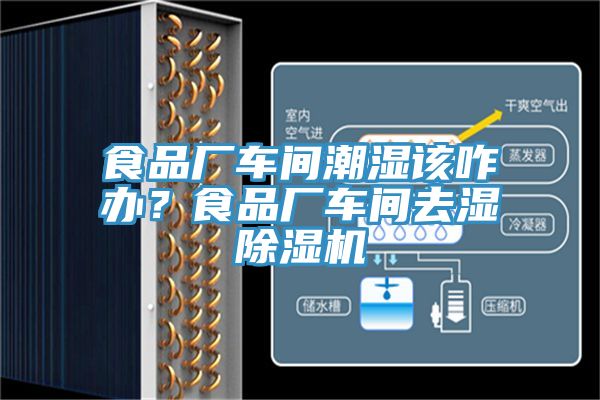 食品廠車間潮濕該咋辦？食品廠車間去濕除濕機