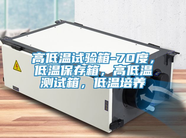 高低溫試驗箱-70度,低溫保存箱,高低溫測試箱,低溫培養