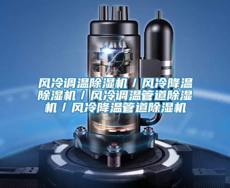風(fēng)冷調(diào)溫除濕機/風(fēng)冷降溫除濕機/風(fēng)冷調(diào)溫管道除濕機/風(fēng)冷降溫管道除濕機