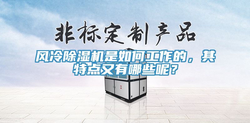 風(fēng)冷除濕機是如何工作的,其特點又有哪些呢?