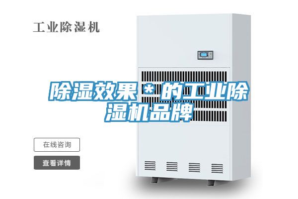 除濕效果*的工業(yè)除濕機(jī)品牌