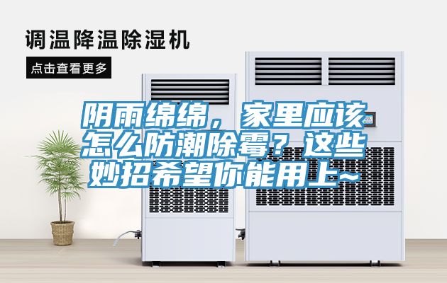 陰雨綿綿，家里應該怎么防潮除霉？這些妙招希望你能用上~