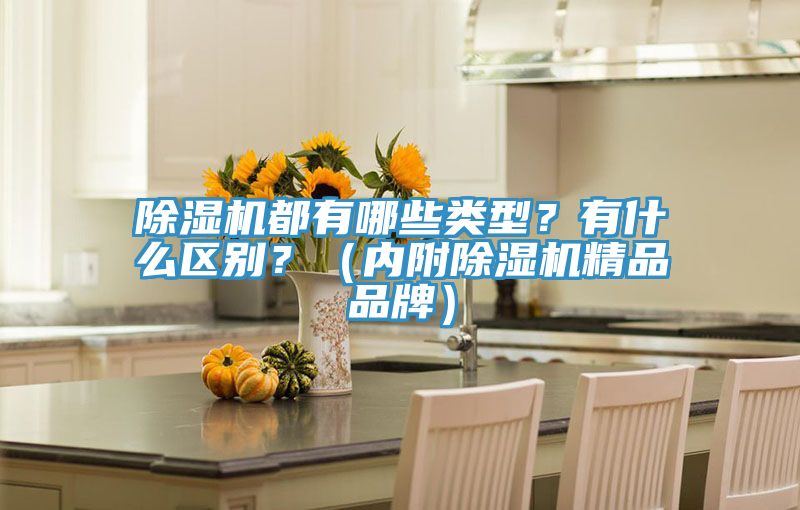 除濕機都有哪些類型？有什么區別？（內附除濕機精品品牌）